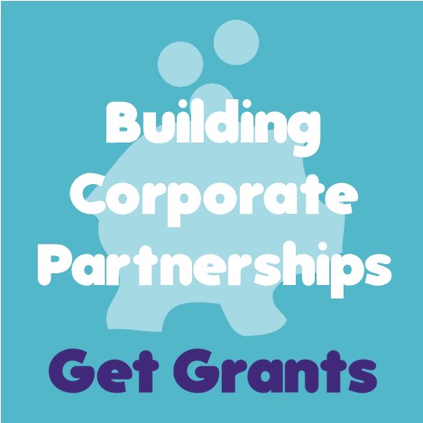 Building Corporate Partnerships MASTERCLASS - On Demand